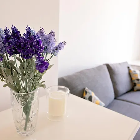 Ion Appartement *